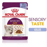 Royal Canin Sensory Taste in Gelee für wählerische Katzen