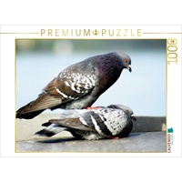 Calvendo Tauben Puzzle