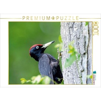 Calvendo Schwarzspecht Puzzle
