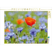 Calvendo Mohn und Kornblumen. Puzzle