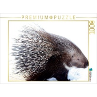 Calvendo Stachtelschwein Puzzle