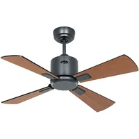CasaFan Eco Neo III Ventilator, Grau