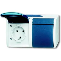Busch-Jaeger Schuko-Steckdose 2f.gr/bgn waagerecht 20/2 EW-53
