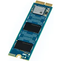 OWC Aura N2 (480 GB M.2 2280), SSD