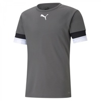 Puma teamRISE Trikot Kinder smoked pearl/black/white 176