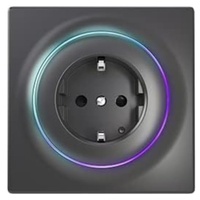 FIBARO Walli Outlet type F