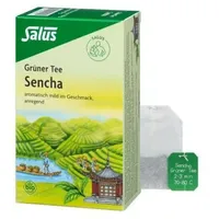 SALUS Grüner Tee Teebeutel 15 St.