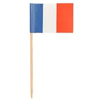 Papstar Deko-Picker 8 cm "Frankreich"