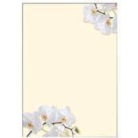 Sigel Motivpapier White Orchid Motiv DIN A4 90 g/qm