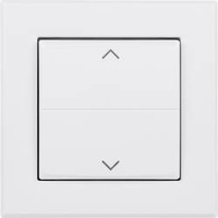 EQ-3 Homematic IP Tasterwippe HmIP-BRA