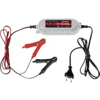 Dino Kraftpaket 136314 Automatikladegerät 12 V, 6 V 1