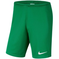 Nike Park III Dri-FIT Knit Fußballshorts Herren pine green/white