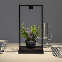 Artemide Curiosity Tischleuchte Black/Brown