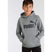 Puma Essentials Big Logo Fleece-Hoodie Jungen medium gray heather