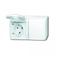 Busch-Jaeger Schuko-Steckdose 2f. mit Klappdeckel 20/2 EW-54