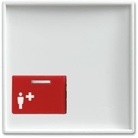 Busch-Jaeger Zentralscheibe alpinws 2548-022 A-914