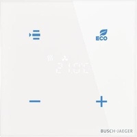 Busch-Jaeger TR/U.1.11-CG