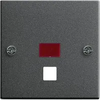 Gira Zentralplatte Zugtast. ant 063828