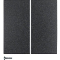 Berker KNX-Funk Taste 2fach 85146185