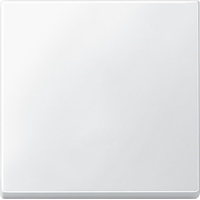 Merten 433119 Wippe polarweiß, System M