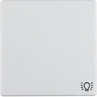 Berker Wippe 16206049