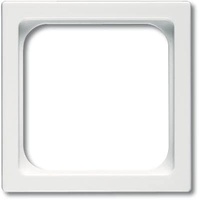 Busch-Jaeger Zentralscheibe dav 50x50,f.TAE-Einsatz 1746/10-84