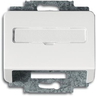 Busch-Jaeger Zentralscheibe stws gl 1758-24G