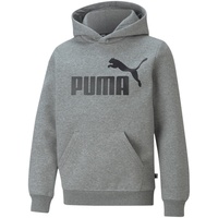 Puma Essentials Big Logo Fleece-Hoodie Jungen medium gray heather