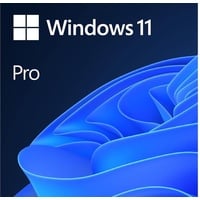 Microsoft Windows 11 Pro 64Bit, DSP/SB (italienisch) (PC) (FQC-10538)
