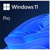 Microsoft Windows 11 Pro IT