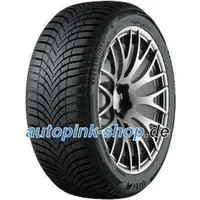 Giti Winter W2 205/55 R16 91H