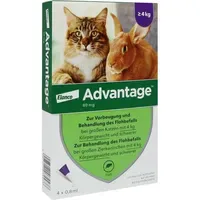 Elanco Advantage 80 für Katzen und Zierkaninchen 4 x