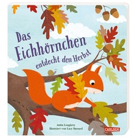 Carlsen Verlag Das Eichhörnchen entdeckt den Herbst