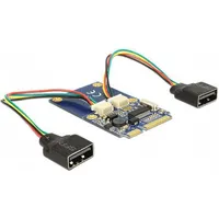 DeLock 95242 Schnittstellenkarte Adapter,