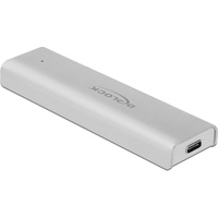 DeLock Externes Gehäuse M.2 NVMe PCIe SSD USB 10