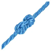 VidaXL Polypropylenseil 10 mm 100 m Blau