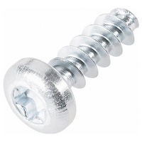 TOOLCRAFT 88200-12 Kunststofffurchende Schraube 3 mm 12 mm T-Profil