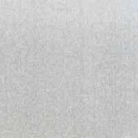 GAH Alberts Alberts Glattblech Aluminium Edelstahl-Optik 120 x 0,5