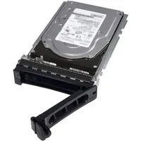 Dell HD 2TB, NLSAS 7200rpm 12gbps 512n (2 TB,