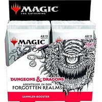 Wizards of the Coast D&D Abenteuer in den Forgotten