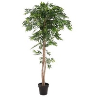 Europalms Ficus Longifolia, Kunstpflanze, 165cm