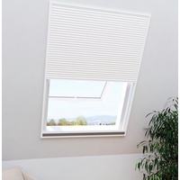 WINDHAGER Insektenschutz-Rollo WINDHAGER "für Dachfenster, 2in1 EXPERT", grau (anthrazit),