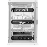 Digitus DN10SET2 10'' Zoll Netzwerk-Schrank 9HE Grau - Fachboden