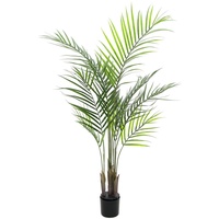 Europalms Großblatt-Areca, 125cm
