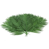 Europalms Kokos-Palmwedel 90cm 12x