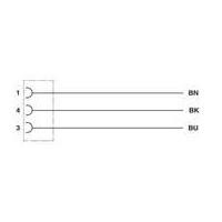 Phoenix Contact 1417698 Sensor-/Aktor-Steckverbinder, konfektioniert 3.00 m Polzahl Sensoren: