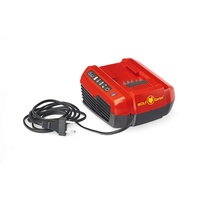 WOLF-Garten Wolf-Garten, Lycos 40/430 QC Ladegerät (49AL401-650)
