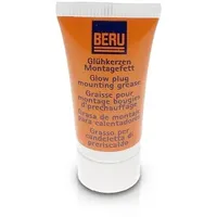 BorgWarner (Beru) Beru GKF01 AG 890300034 Fett