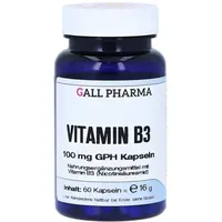 Hecht Pharma Vitamin B3 100 mg GPH Kapseln 60