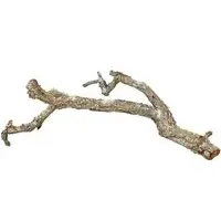Trixie Tronchos Mixed Cork-Branches